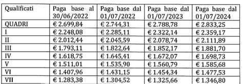 5 livello ccnl commercio.